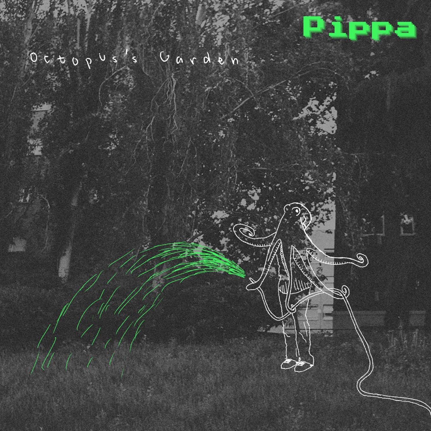 Pippa – Octopus’s Garden